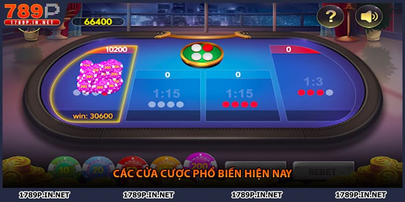 Các cửa cược phổ biến hiện nay