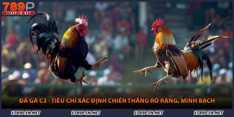 Đá gà C3 - Tiêu Chí Xác Định Chiến Thắng Rõ Ràng, Minh Bạch